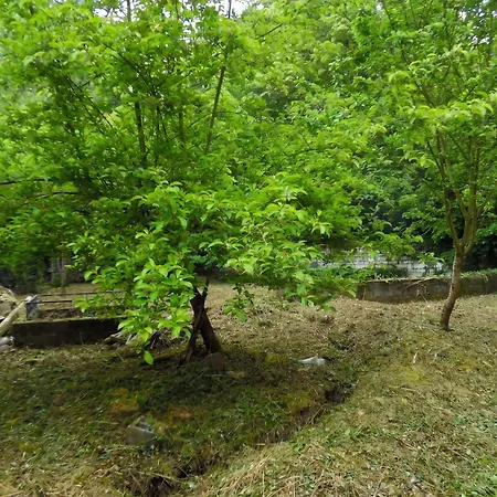 Refuge A Courchamps, Terrasse Et Jardin Holiday home